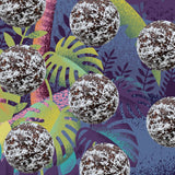 FUNCH® Australian Vanilla & Coconut Protein Ball Mix
